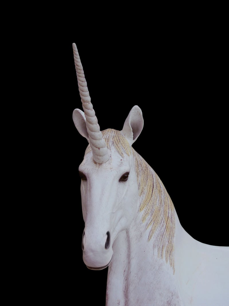 Unicorn-Inspired Accents